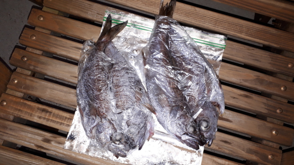 本ムツの干物 農家漁師から産地直送の通販 ポケットマルシェ