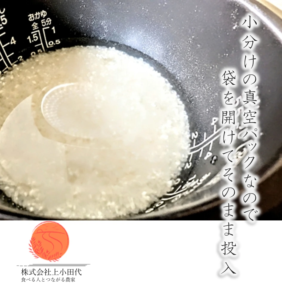 美味しさ長持ち！ひとめぼれ真空パック5合5パック