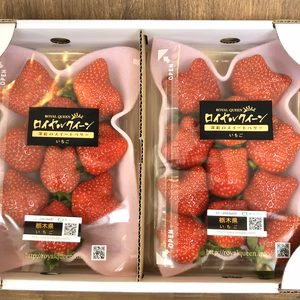 化粧箱入り！高級希少品種【ロイヤルクイーン】300g   2パック