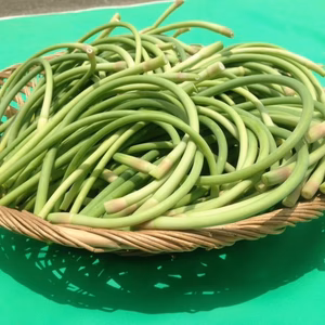 【送料一律便】にんにくおまけ付！農薬化学肥料不使用 にんにくの<20％増量中>