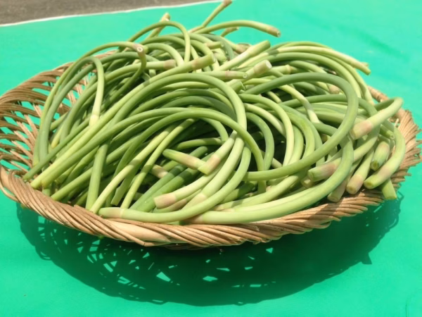 【送料一律便】にんにくおまけ付！農薬化学肥料不使用 にんにくの<20％増量中>