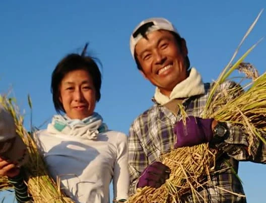 【新米】令和5年産特別栽培米コシヒカリ玄米5㎏