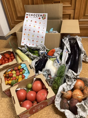 みんなの投稿の画像