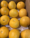 (特別栽培)和歌山県産A-B品八朔M-Lサイズ(お試し8個～10個入り)約3kg