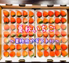 【サイズ別】青森県下北産　夏秋いちご「すずあかね」【業務用/ギフトに】