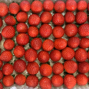 ★新商品★【希少あまりん】小粒500g！