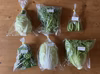 旬のすこやか野菜セット