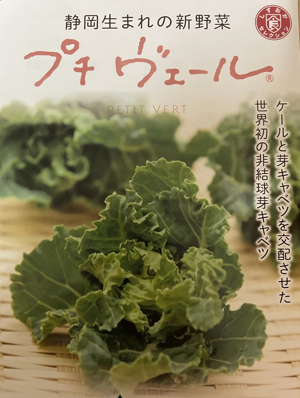 静岡生まれの新野菜プチヴェール