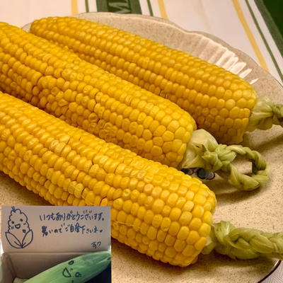 みんなの投稿の画像