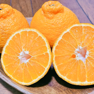 化学農薬不使用の小豆島産しらぬひデコ4kg