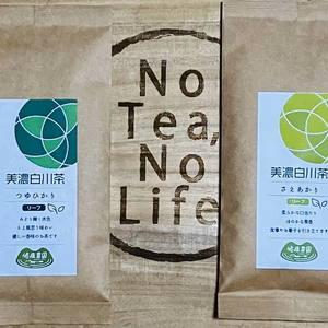 令和６年産　新茶　白川茶　品種の違う煎茶飲み比べ　つゆひかりとさえあかり