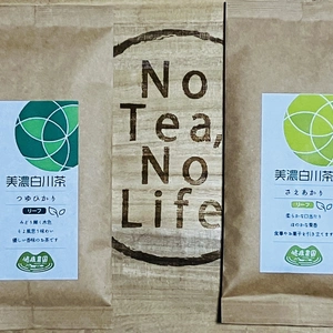 令和６年産　新茶　白川茶　品種の違う煎茶飲み比べ　つゆひかりとさえあかり