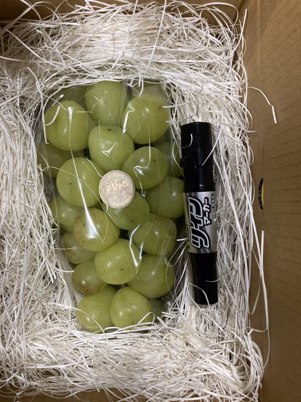 訳あり雄宝1キロ房　シャインの子ども！