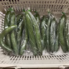 きゅうり　400g入りを10袋　計4kg  大阪府の小池農園より発送します。