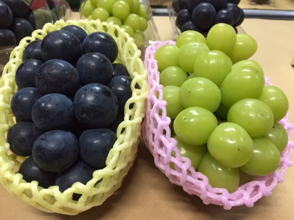 ◇10月下旬発送【届くまでお楽しみ！】シャインマスカット＋品種おまかせ　4房