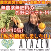 無農薬野菜セット　Mサイズ（8~10品）　定期便　毎週配送