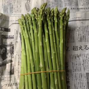 ☆ホントにラスト☆最上アスパラガス細目