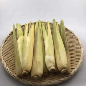 超レア❗️生でも食べれる『マコモダケ』