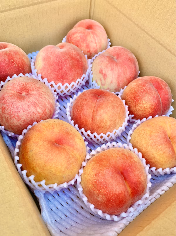 信州産『ワッサー5玉×あかつき5玉』"桃"食べ比べセット‼︎
