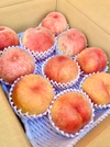 信州産『ワッサー5玉×あかつき5玉』"桃"食べ比べセット‼︎