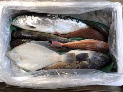 みんなの投稿の画像