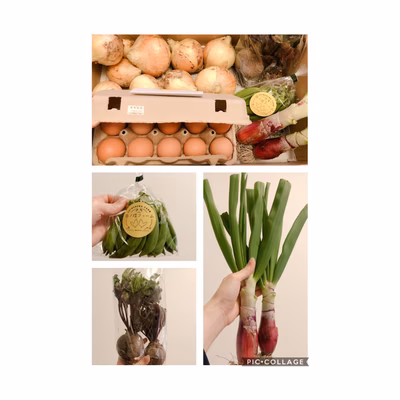 みんなの投稿の画像