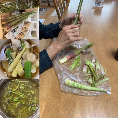 みんなの投稿の画像