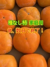種なし柿(家庭用)3kg（12〜16個程度)  ＜柿チャレンジ＞