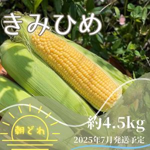 【激甘】幻のとうもろこし『きみひめ』約4.5kg