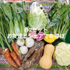 農園自慢の情熱野菜セット★7品9品11品×2セット