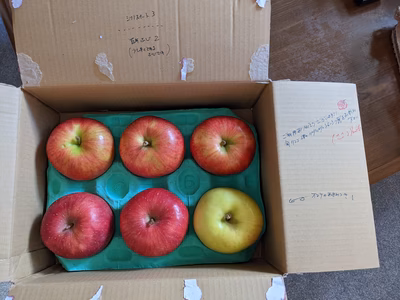 みんなの投稿の画像