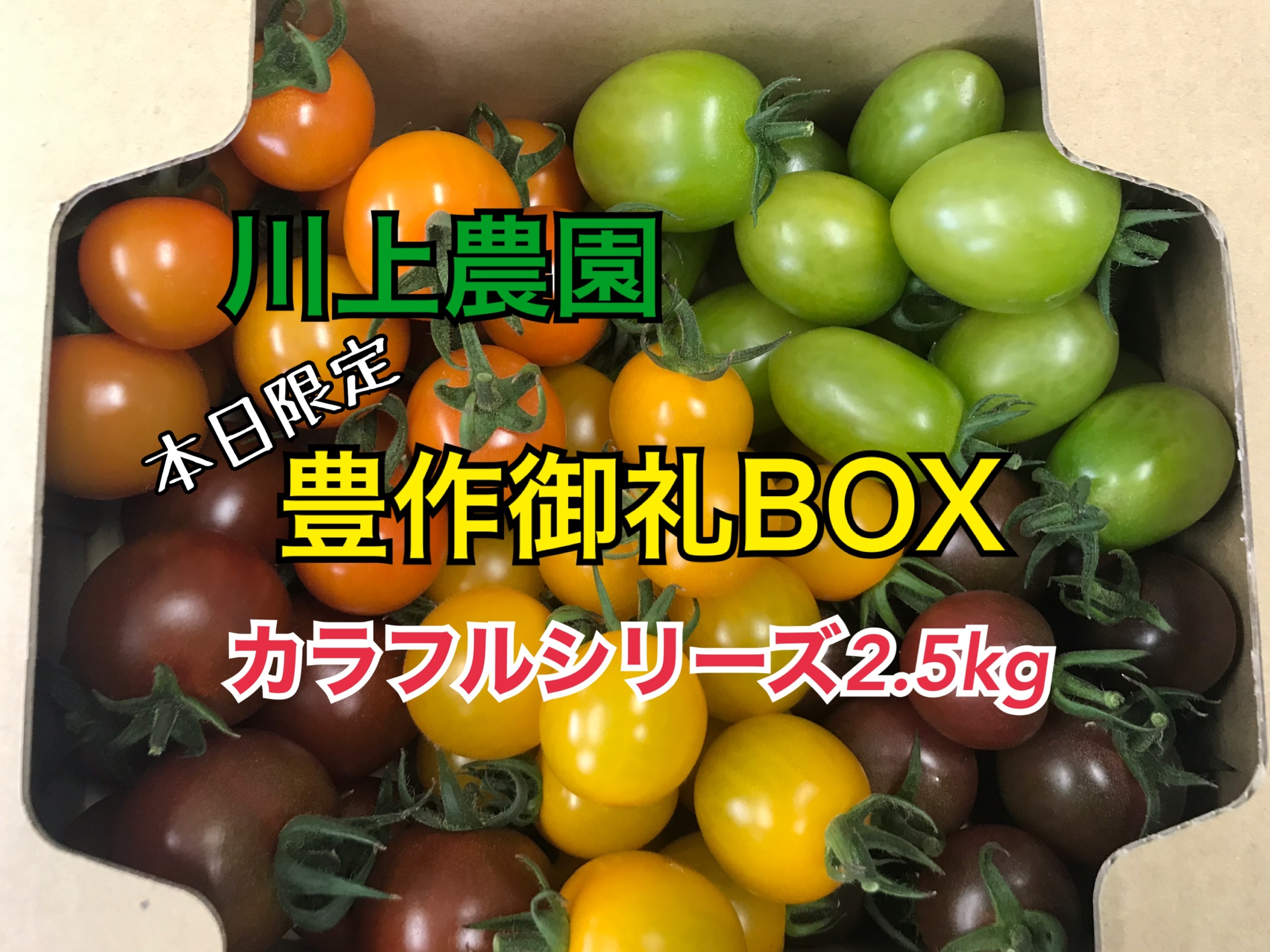 川上農園 豊作御礼box カラフルシリーズ 茨城県産 農家漁師から産地直送の通販 ポケットマルシェ