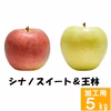 信州 王林&スイート【訳あり 5kg】2種食べ比べセット☆10月上旬頃出荷開始