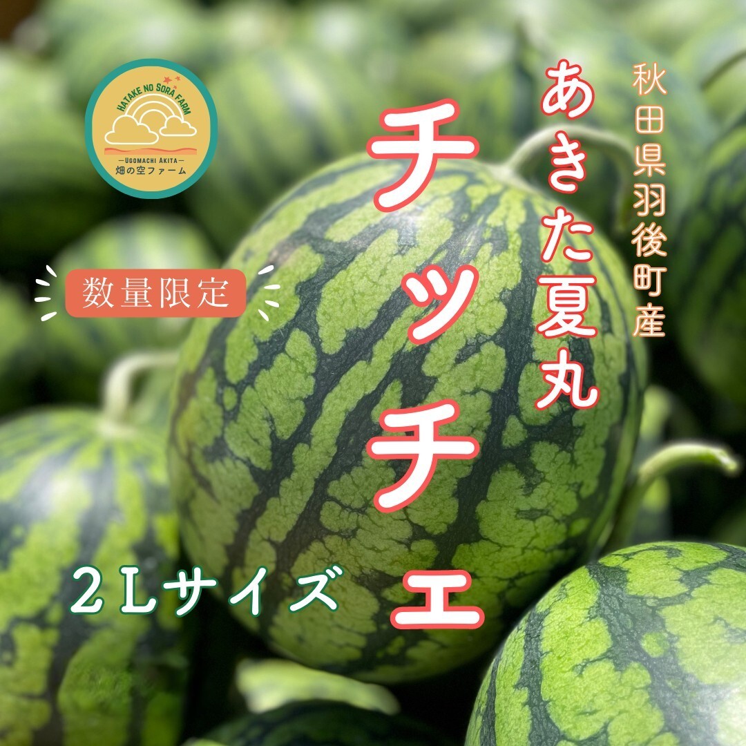 秋田県産「あきたの夏丸西瓜」Lサイズ × 2玉