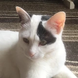 のんちゃん