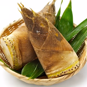 【期間限定】春の味覚！今が旬たけのこ‼️<千葉県産 4kg>