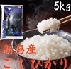 コシヒカリ&つきあかり(白米) 食べ比べセット 令和3年産