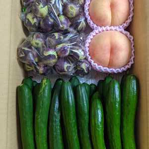 桃とナスとキュウリ