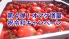 第４回 オマケ増量❗️祝令和キャンペーン ソムリエトマト4kg16玉から30玉