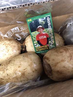 みんなの投稿の画像