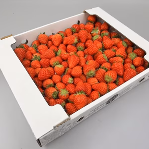 数量限定！小粒＆変形加工用傷ありいちご1kg！ジャムやスイーツ作りにどうぞ♪