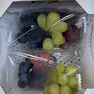 ☆ご自分用に「今が旬！『旨いぶどうお試し３色パック』」 岡山から