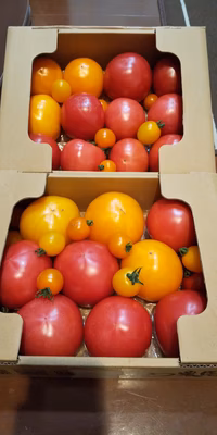 みんなの投稿の画像