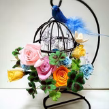 ハッピーちゃん