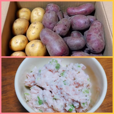 みんなの投稿の画像