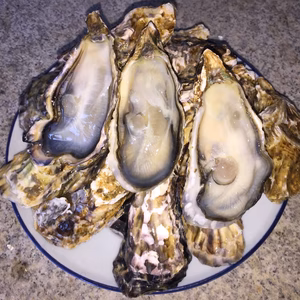 冷凍殻付き牡蠣（加熱用）喜多嬉かき（Lサイズ）12粒