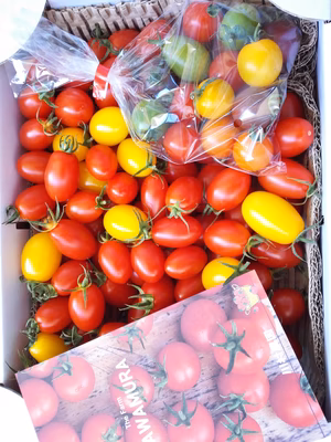 みんなの投稿の画像