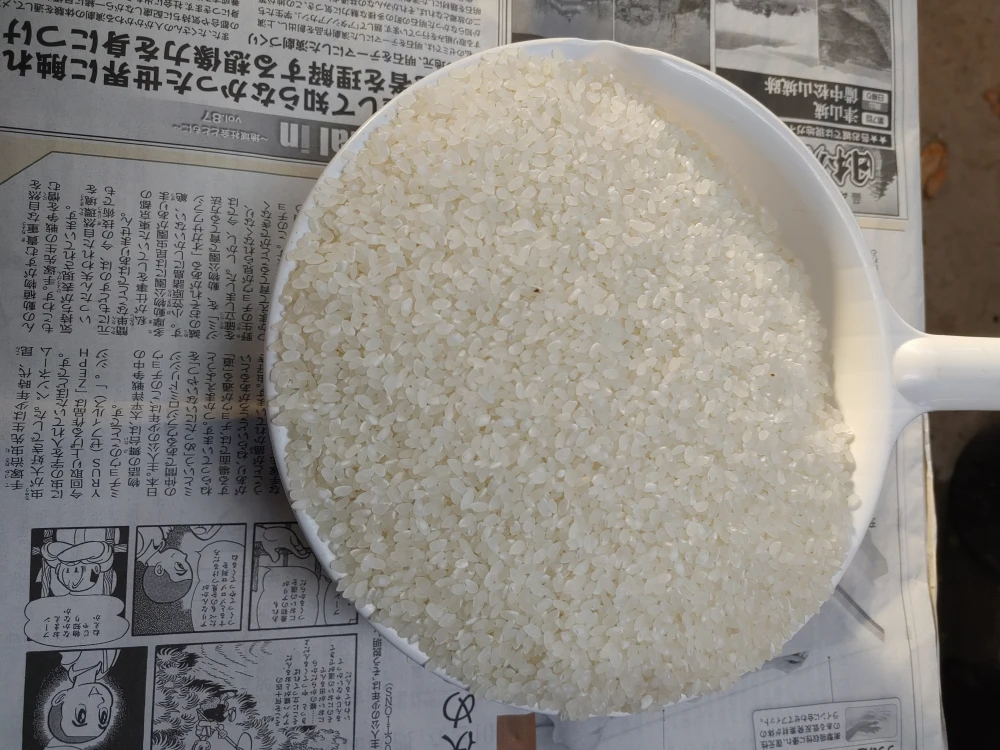 玄米、きぬ光(新米)、(水量は普段通りで)