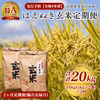 【2ヶ月定期便】令和4年産 山形県寒河江市産 はえぬき玄米 20kg