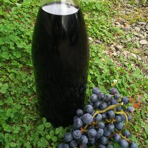 希少な山葡萄 荒漉し山ソーヴィニヨン原液
